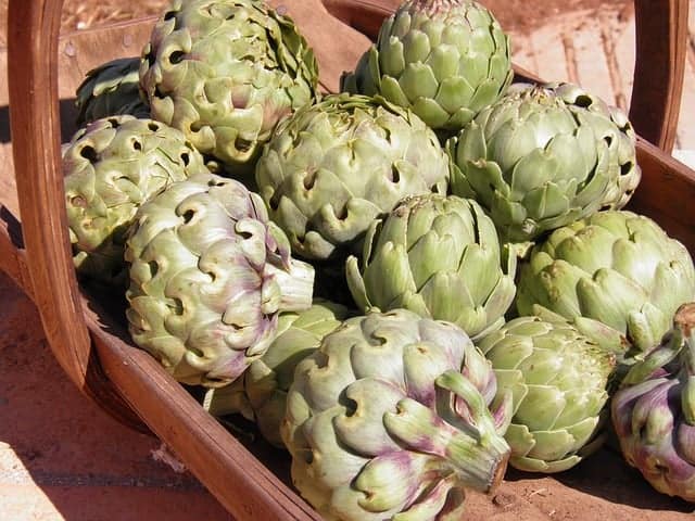 Can You Eat Too Many Artichokes? - Gardening Channel