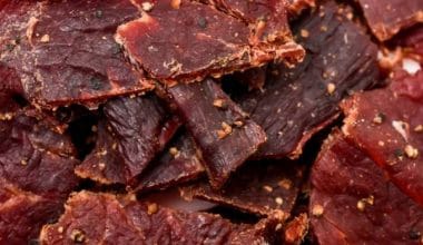 Can I Eat Beef Jerky While Pregnant? (Read Here, Explained!)